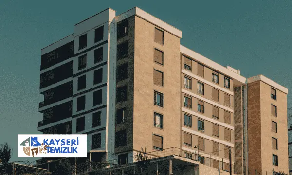 Halı ve koltuk yıkama hizmeti