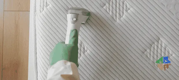 Derin ev temizliği uygulaması