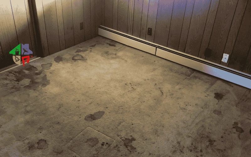 Kayseri ofis halısı temizlik öncesi